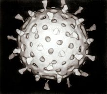 Vacunas frente a rotavirus e invaginación intestinal. Relación riesgo-beneficio