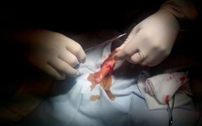 Taller – Suturas y cirugía menor para el pediatra de AP