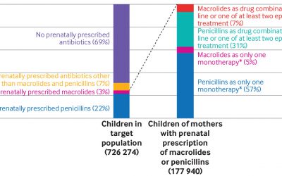 El uso de macrólidos durante el embarazo como causa de malformaciones congénitas
