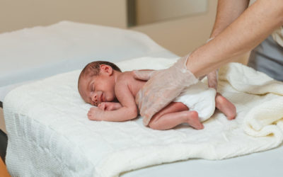 Estado del hierro tras el alta hospitalaria en recién nacidos muy prematuros que reciben suplementos profilácticos de hierro después del nacimiento
