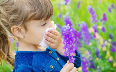 ¿Pueden influir las alergias en la primera infancia en el desarrollo del trastorno por déficit de atención e hiperactividad (TDAH) y trastornos del espectro autista (TEA)?