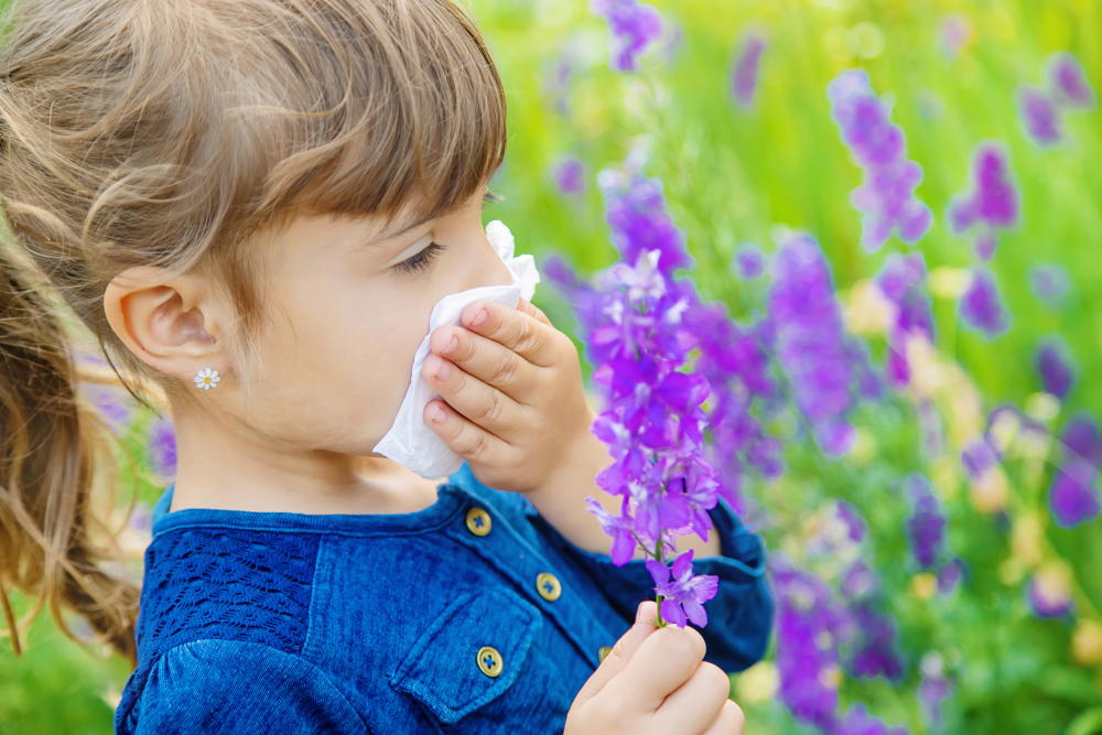 pueden influir las alergias en la primera infancia en el desarrollo del trastorno por deficit de atención